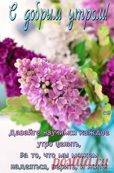 ஜ۩۞۩ஜ Женская мудрость ஜ۩۞۩ஜ