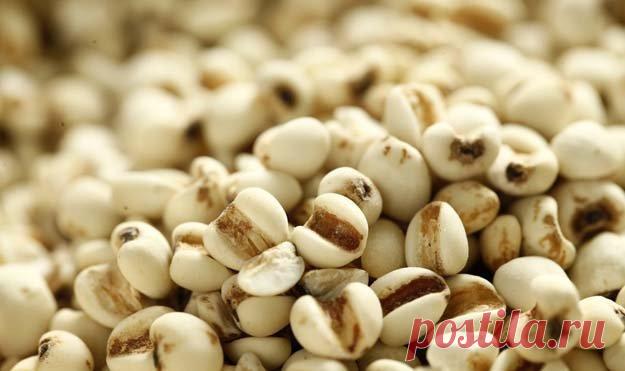 Польза перловки. Как сварить перловку вкусно

Если при упоминании перловки, вы воротите нос или даже хуже того, восклицаете: я этой шрапнели наелся в армии, то вам точно сюда: сесть и внимательно прочитать статью. Поверьте, вы не пожалеете!

- Итак, сорока-ворона кашку варила и рассказала...

Какова #польза перловки и как сварить перловку вкусно на завтрак и на обед, и на — хэ-хэ — десерт и гарнир