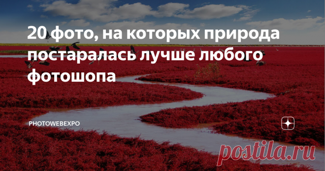 20 фото, на которых природа постаралась лучше любого фотошопа Хотя фотошоп был создан почти 50 лет назад, он стал огромной частью повседневной жизни. В наши дни очень трудно найти неотредактированные фотографии в интернете. Однако сама природа - замечательный художник, который может создавать изображения гораздо лучше, чем любой профессионал фотошопа. Уникальные очертания гор, чудные гримасы диких животных и завораживающие цвета неба могут только