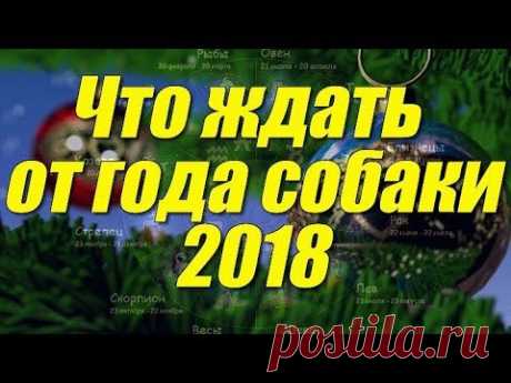 Что ждать от года собаки 2018 💯 Что ждать от года собаки 2018 Как встречать 2018 год Собаки - https://goo.gl/we1x3S Хотите узнать, что ждать от года собаки в 2018 году, тогда Вы на правильн...