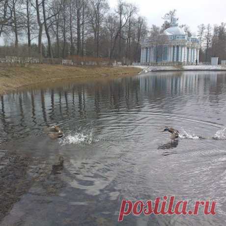 Пушкин.ру
