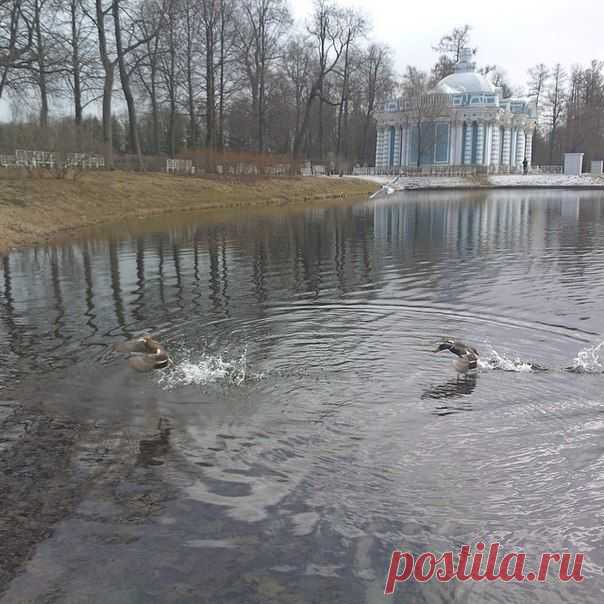Пушкин.ру