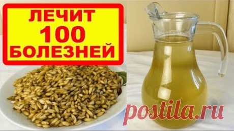 ОВЕС - ЛЕЧИТ 100 БОЛЕЗНЕЙ: печень, почки, бронхит, грипп, кашель, чистит кровь, укрепляет иммунитет