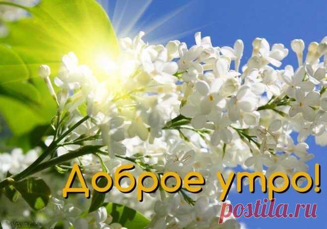 С добрым утром, друзья! Чудесного дня!☀
И все таки...Пусть эта Весна будет счастливой...Счастье-просто дышать Весной! Каждая Светлая Мысль — это Цветок. В тебе цветёт то,
что ты поливаешь🌹
Пусть всегда на земле расцветают цветы. Пусть всегда будет мир и согласие..❤🙏