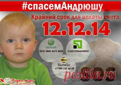 РИСУЕМ ЖИЗНЬ! Андрюша Ярославский, сбор до 12.12