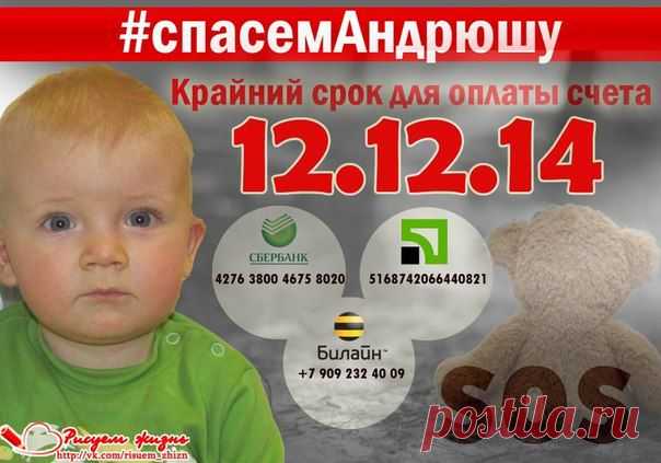 РИСУЕМ ЖИЗНЬ! Андрюша Ярославский, сбор до 12.12