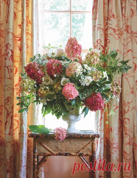 FLOWER Magazine выбрал Fire Light Hydrangea цветком 2026 года: это метельчатая гортензия с крупными соцветиями, которые меняют оттенок от кремового до розового и бордового.