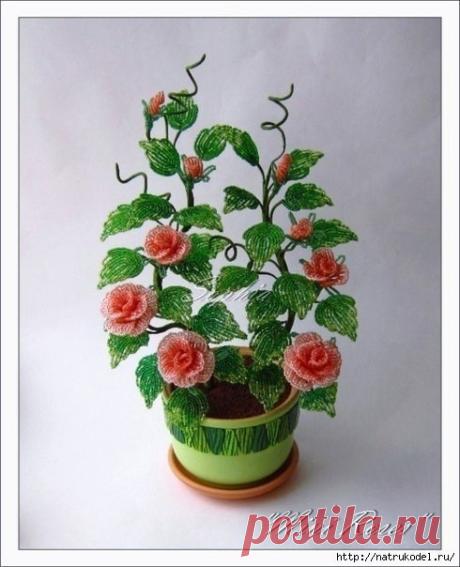 Розовый куст из бисера
