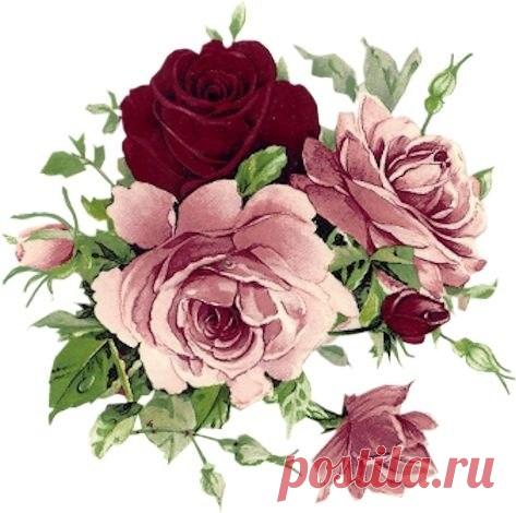 Цветовые палитры 

Теперь каждый вторник мы будем выкладывать для Вас палитру для двух мотивов. 
Цветовая палитра может помочь при выборе фона или бордюра на боковинки. А самое главное, поможет выбрать цвет внутренней обивки. 
Другие палитры по хэштегу #палитры_ok 
БОНУС для участников 