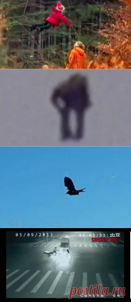 Кто живет среди людей? | Собеседник на скамейке | Дзен