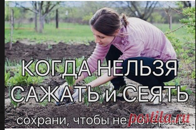 (99+) Одноклассники