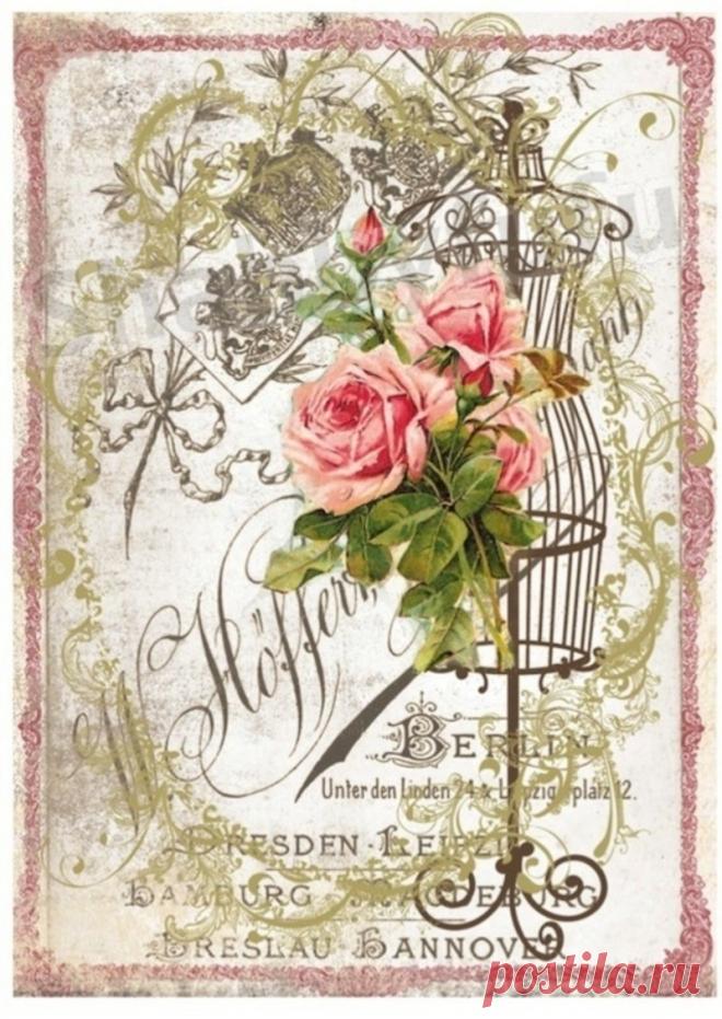 красивые картинки двухсторонние в стиле шебби шик для скрапбукинга: 17 тыс изображений найдено в Яндекс.Картинках