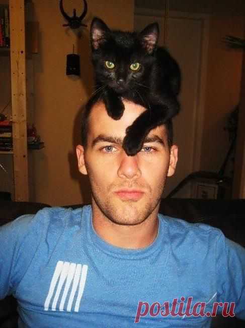 Котошапка 2