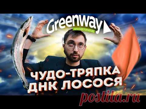 ОБМАНЕМ вас ДОРОГО! Разбор Greenway. Финансовые пирамиды