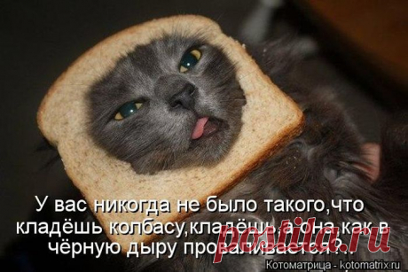 Котоматрицы великолепные, каждая с доброй улыбкой!