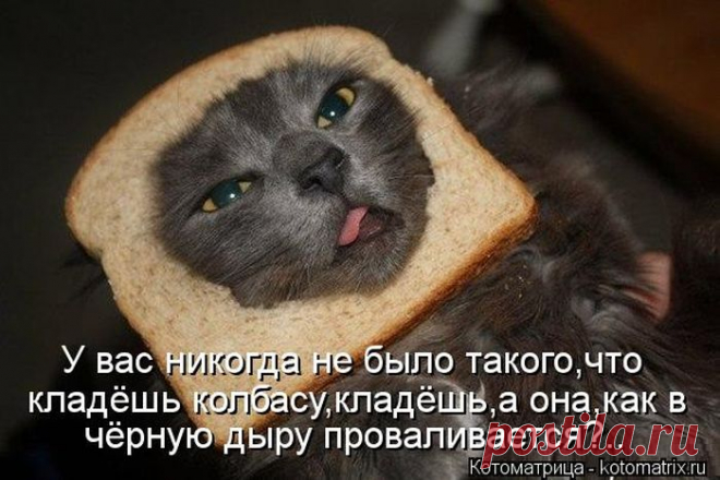 Котоматрицы великолепные, каждая с доброй улыбкой!