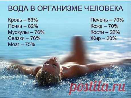 46 причин пить воду 

Сорок шесть причин, по которым качественная вода ежедневно необходима Вашему организму Выписки из издания, переведённого впервые с английского в 2004 году Белошеевым О.Г. (Water: for health, for healing, for life [you're not sick, you're thirsty]), написанного доктором медицины Фирейдоном Батмангхелиджем.