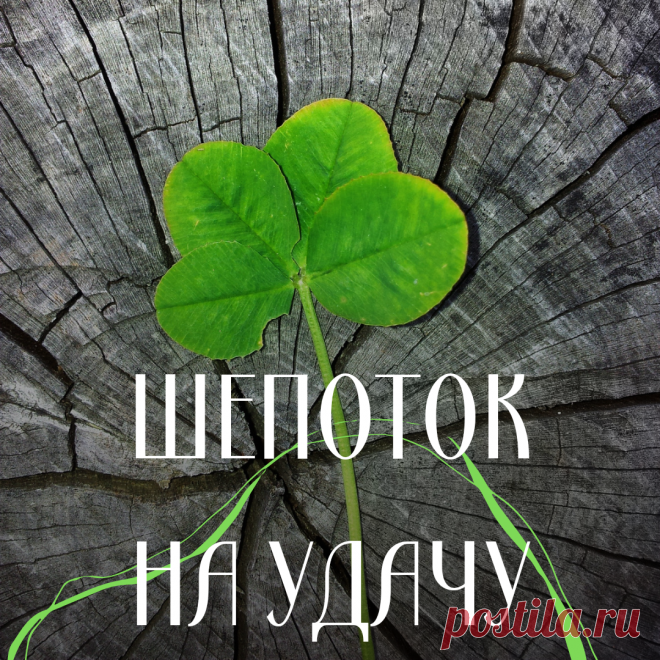 Шепоток на удачу. Говорите эти слова всегда! | Колдун Дмитрий Бай | Яндекс Дзен