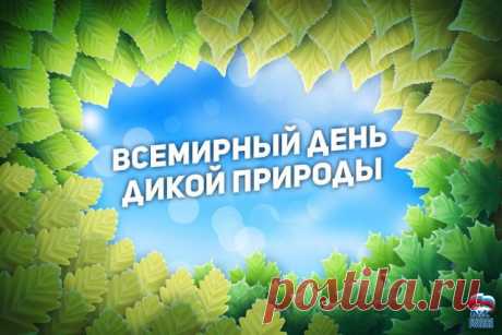 В день дикой природы я всех призываю:
Давайте леса и поля защищать,
Растенья беречь, охранять водоемы,
А редких зверей нам нельзя истреблять.