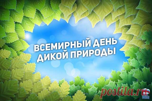 В день дикой природы я всех призываю:
Давайте леса и поля защищать,
Растенья беречь, охранять водоемы,
А редких зверей нам нельзя истреблять.