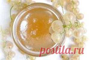 Белая смородина: рецепты на зиму :: SYL.ru
