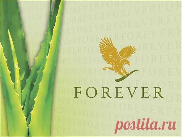 Видео о продукте: гель алоэ вера, сок алоэ, напитки, косметика, биодобавки - Forever Living Products - Продукт