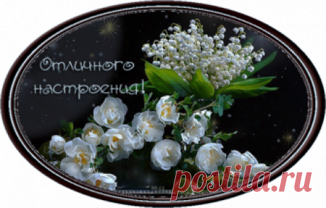 - коллажи | Записи в рубрике - коллажи | ДОБРО ПОЖАЛОВАТЬ В СООБЩЕСТВО " ВСЁ ОТ ДИЗАЙНЕРА"