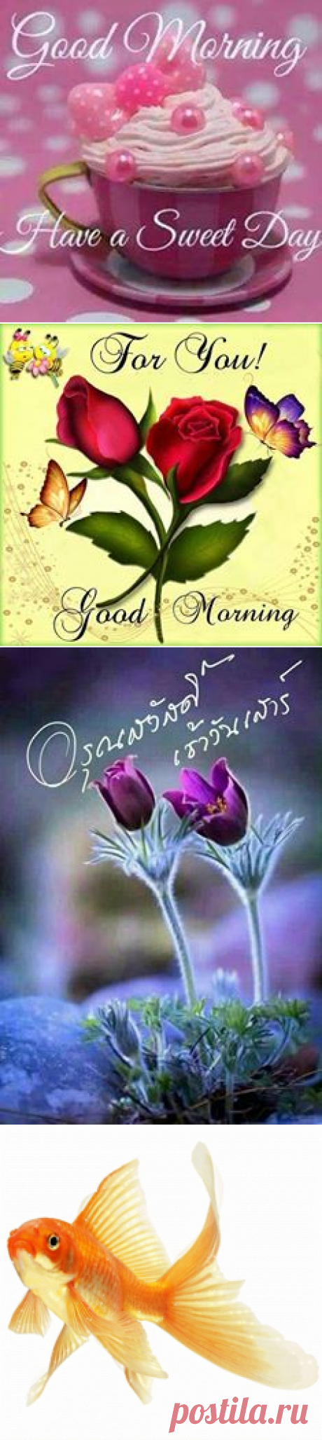 (63) Facebook