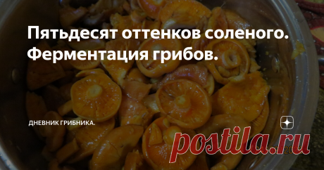 Пятьдесят оттенков соленого. Ферментация грибов. Сейчас во всем мире популярно "кимчи" - ферментированные (квашеные) овощи с острой приправой по-корейски. Кимчи называют суперфудом и расхваливают на все лады.
В России своё кимчи- это квашеная капуста и и соленые грибы.
Соление грибов по сути комбинированный способ заготовки.
Сущность его заключается в том, что в грибы добавляют некоторое количество соли ( от 2 % до 5%) для задержки развития