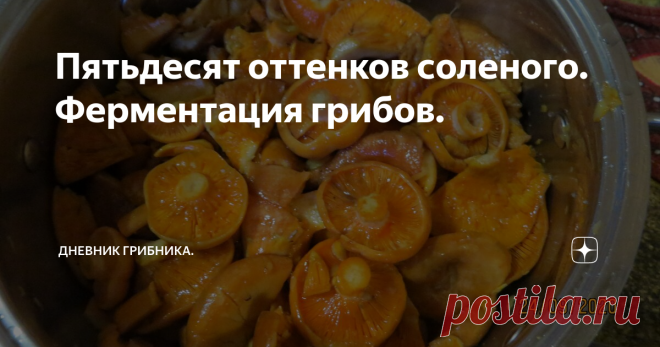 Пятьдесят оттенков соленого. Ферментация грибов. Сейчас во всем мире популярно 