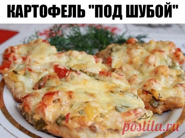 КАРТОФЕЛЬ 