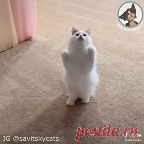 Классные