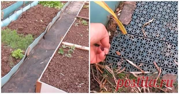 Если вы ищете, каким материалом укрыть бы дорожки в огороде, то испробуйте идею ниже. Покрытие удобное, дорожки получаются не скользкими, при этом трава практически не растёт. ELENA ELKINA МИР ВАШЕМУ ДОМУ/youtube Если у вас глинистая почва, то первым слоем желательно насыпать песок. ELENA ELKINA - 11 июля - 43624908047 - Медиаплатформа МирТесен