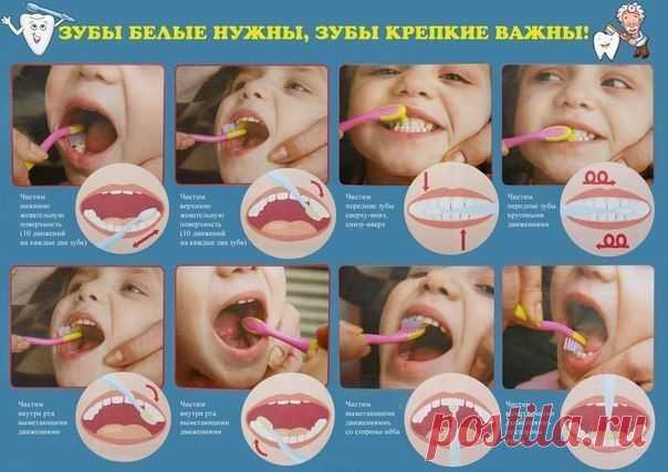 Зубы белые нужны, зубы крепкие важны!