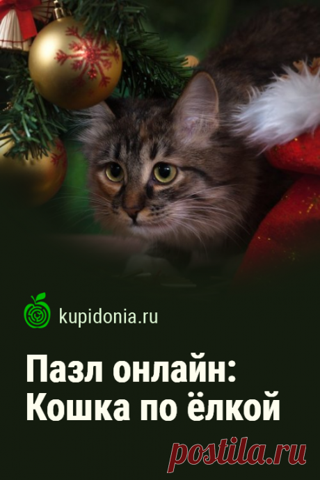 Пазл онлайн: Кошка по ёлкой. Думаешь чем развлечься на Новый год? Красивый новогодний пазл онлайн с пушистой кошкой под ёлкой. Собери пазл на сайте!
