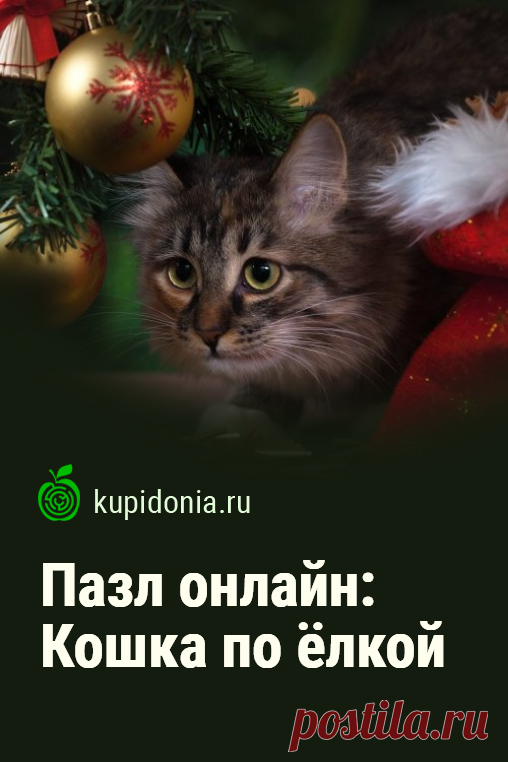 Пазл онлайн: Кошка по ёлкой. Думаешь чем развлечься на Новый год? Красивый новогодний пазл онлайн с пушистой кошкой под ёлкой. Собери пазл на сайте!