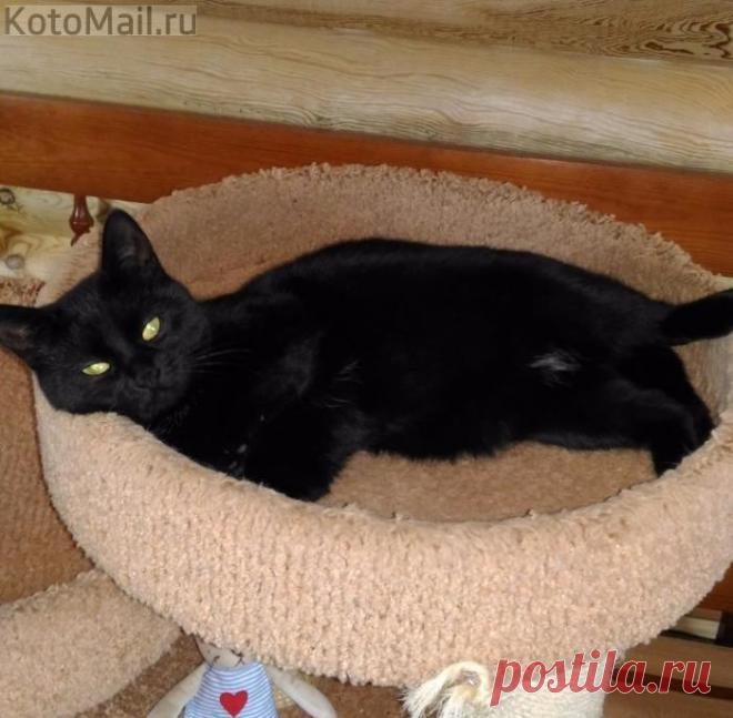 Дольше засыпаю, чем сплю