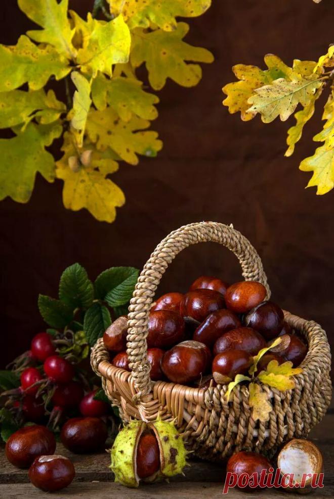 The Eye of the Beholder