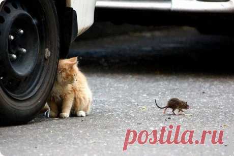 geram: Каким судом судите,таким будете судимы;и какою мерою мерите,такою и вам будут мерить---Иисус Христос