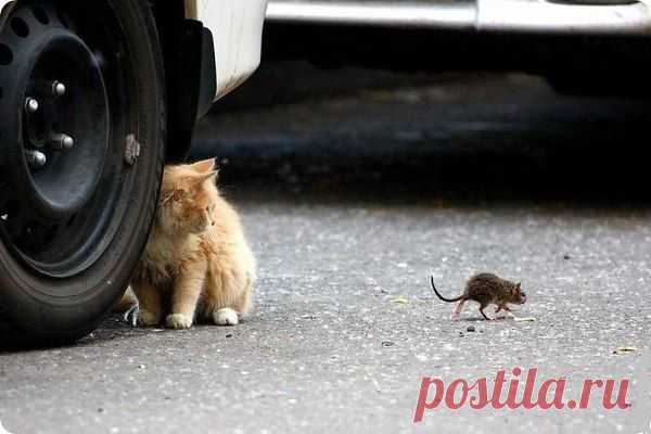 geram: Каким судом судите,таким будете судимы;и какою мерою мерите,такою и вам будут мерить---Иисус Христос