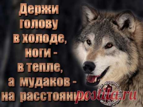Чем безупречнее человек снаружи - тем больше демонов у него внутри...
