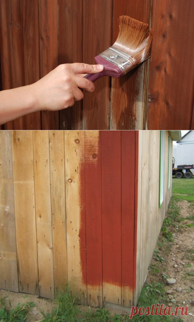 Садовая краска своими руками, которая дешевле обычной и служит десятки лет — Полезные советы