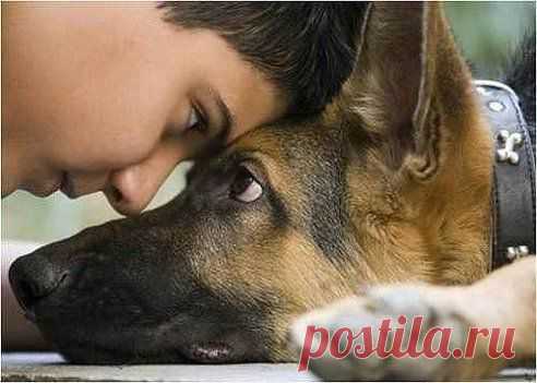 (4) Одноклассники