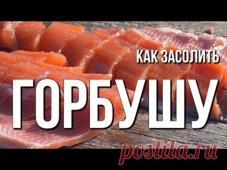 Как засолить горбушу
