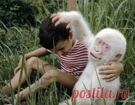 Фотографии на стене сообщества | 35 401 фотография