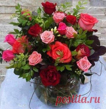 Желаю нежности и ласки,
Дней изумительно счастливых!
Пусть в жизни всё, как в доброй сказке,
Волшебно будет и красиво!
Желаю, чтоб в жизни всегда удавалось
Всё то, что намечено было,
Любая вершина легко покорялась,
Успех чтоб удваивал силы.
Азарта, энергии чтобы хватало
Для важных и смелых решений,
Удача в делах чтобы стимул давала
Для новых побед и свершений.