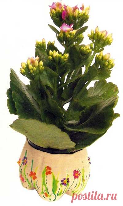 Ваза для цветов из пластиковой бутылки - Nebka.Ru