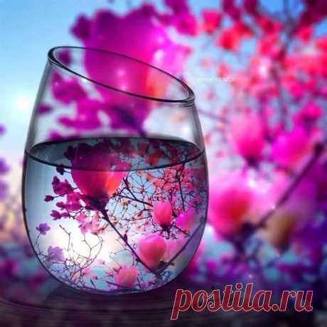 Всю чашу Cчacтья в Жизни не испить… 
            Но два Глотка нам всё ж необходимы... 
   Один Глоток — когo-нибудь любить... 
                   Другой Глотoк — быть кем-нибудь любимым...