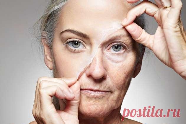 Какие 5 способов могут помочь остановить старение кожи — ХОЗЯЮШКА24