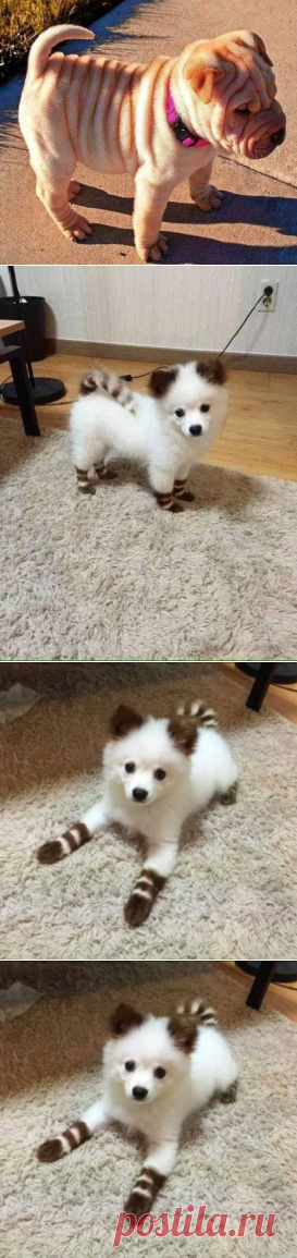 приятности